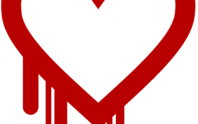 Heartbleed OpenSSL: A Visionary Group Perspective