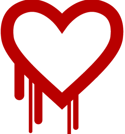 Heartbleed OpenSSL: A Visionary Group Perspective